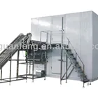 New meat seafood fluidized quick freezing commercial frozen fruits and vegetables equipment