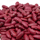 Wholesale Dried Dark Red Kidney Bean