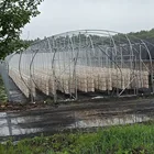 China Multi-Span Agricultural plastic film greenhouse