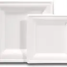 Disposable Plates 7 Inch 9 Inch Custom Box Cutlery Biodegradable Sugarcane Disposable Round Plates