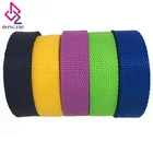 Colorful hot sale wholesale popular plain webbing PP polypropylene webbing strap