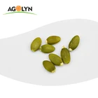 Pumpkin Seeds Online High Grade Pumpkin Seeds Kernels Wholesale