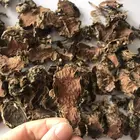 1028 Hong jing tian Herbal Healthcare Product Rhodiola Rosea Root