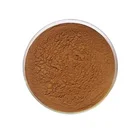 Root Wholesale Natural Apple Tree Root Extract Powder 10:1