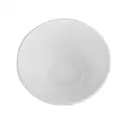 Disposable Bagasse Paper Fresh Fruit Salad Container Bowl