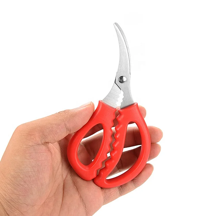 Custom New Design 440C Curved Craft Stainless Steel Vegetable Seafood Kitchen Shears Scissors