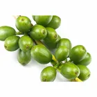 Green Coffee Bean Extract Green Coffee Extract Custom High Quality Green Coffee Bean Extract