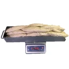 Fresh Fish Frozen Seafood Sarda Tuna Fish Fillet