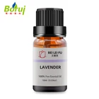 OEM private label 100% pure natural lavender essential oil 10 ml