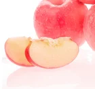 New Apple Fruits Fresh Sweet Fuji Apple for Wholesale Price