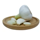 Garlic Peeled Garlic White Garlic New Crop 2020 Delicious Fresh Garlic White Peeled Super Garlic