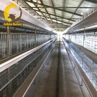 Jinmuren New Poultry Breeding Equipment Laying Egg Chicken Cage for Saudi Arabia Market