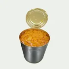 The Newest Canned Orange Segments in Light Syrup