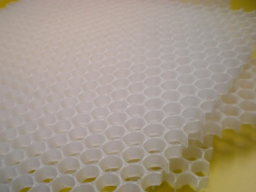 RSCN2876_conew1.jpg