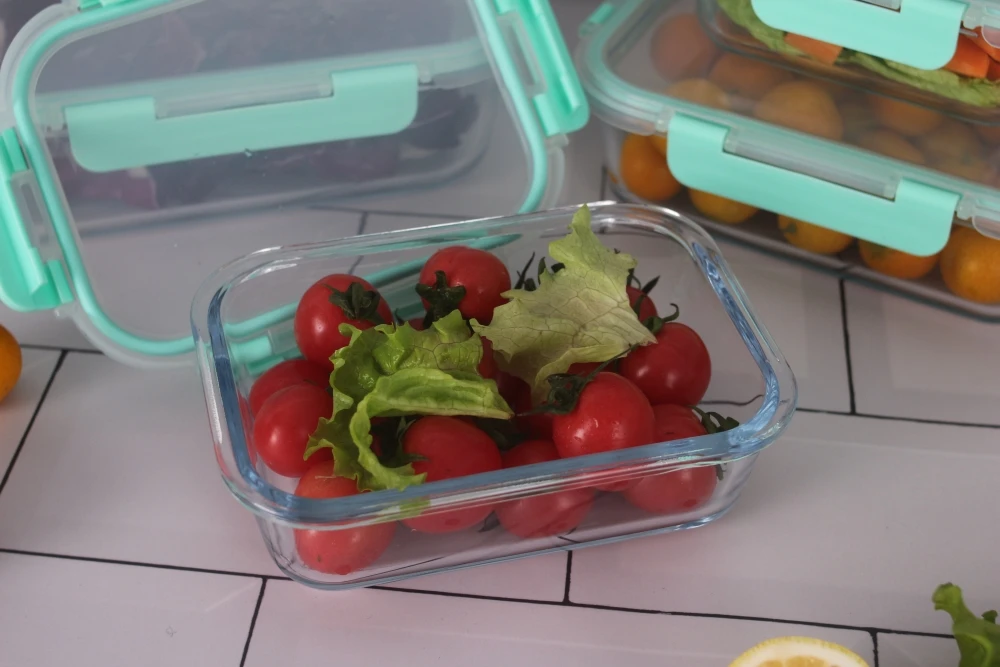 new glass food lunch box with divider