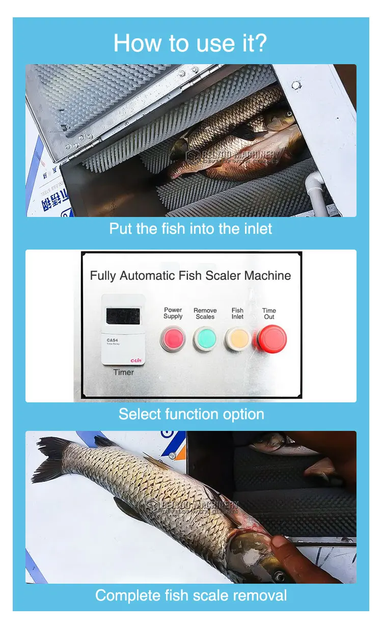 Large Capacity Commercial Carp Scale Removal Machine Fish Scaling