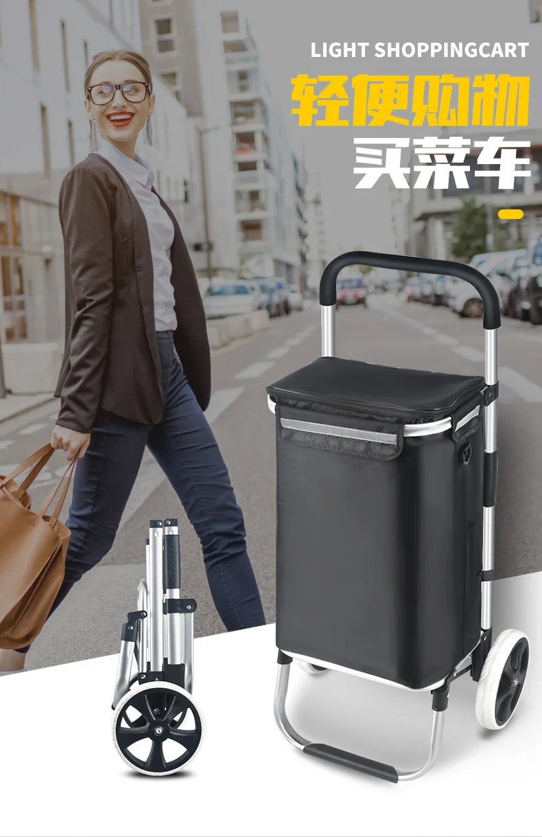 Foldable 2-wheel aluminum trolley canvas bag waterproof shopping cart bag