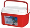 Hot selling Plastic Portable Mini Ice Cold Box PP Medical Bag Insulated Cooling Cooler Box