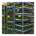 Customized Garden Tools Industry Plywood Transport Dutch Display Flower Pot Trolley For Sale Flowers