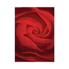 Manufacturer 100% Newzealand Wool Handmade woven Hand Tufted red rug