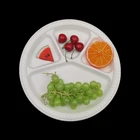 Disposable Plastic Plate Plastic Plate Disposable Hot Sale Disposable Food Blister PP Plastic Take Away Plate