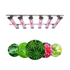 Aquarium full spectrum hydroponic strawberry growing systems LED grow light tent in garden greenhouse