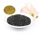 5-10mesh/6-12mesh coconut based activated carbon for gold extraction