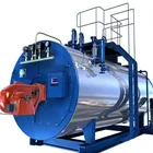 Coal or oil gas fired steam boiler for industrial