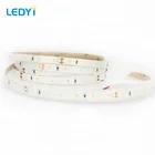 3014 Shenzhen Factory Self-encapsulated Smd Led Strip 60led/m CRI90 Provide 1 Bin Only With LM80 Report