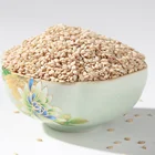 Fresh Hot Selling sesame seed natural white Sesame Seed for sale