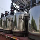 Stainless steel 316L food beverage resin blender jacket kettle with agitator industrial mixer