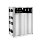 High quality industrial water treatment 200g oxygen source ozone generator