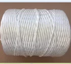 6600dtex/6000D Polyester High Tenacity Twisted Yarn Rope