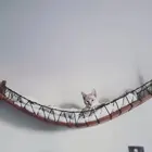 Rope Cat Bridge Climbing Wall Cat Tree Wall Passage Pet Furniture Wooden Climber