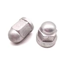 Steel M12 Nut Steel M12 M16 M20 M24 Galvanized Grade 8.8/10.9/12.9 Acorn Nut