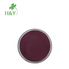 Wholesale Elderberries fruit juice powder stocks