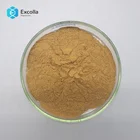 High Quality Loquat Leaf Extract Powder