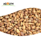 Organic Roasted Salted Almond Kernels Nuts