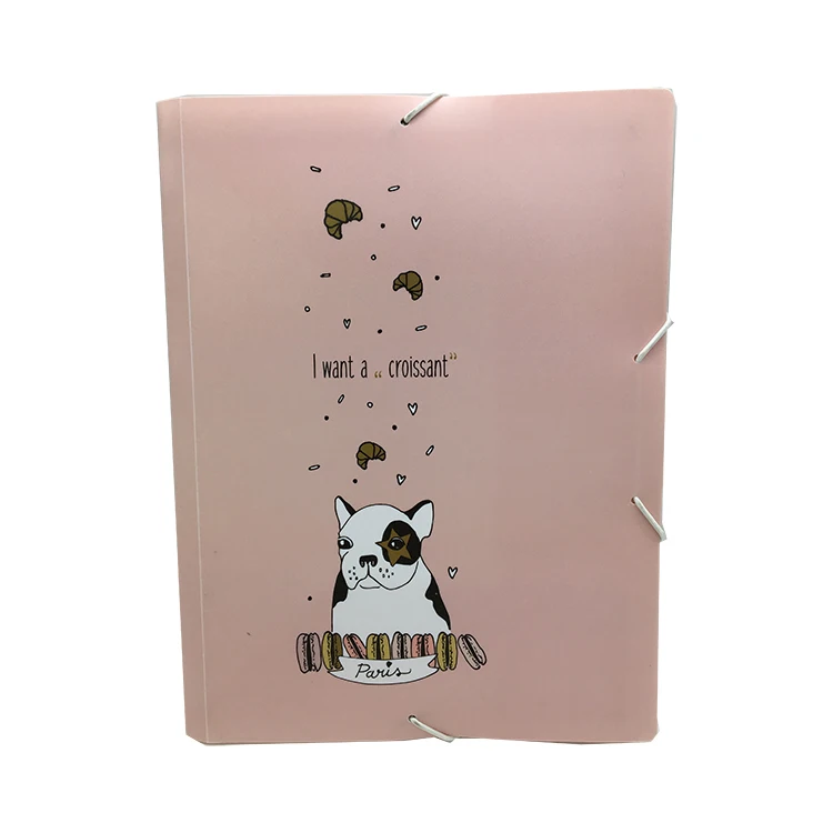 colorful transparent PP file folder