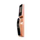 Smart Biometric Password RF Card Face Recognition Door Lock
