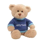 8" Height Sitting Pose Custom Stuffed Teddy Bear with Customized T-shirt