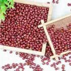Bean New Crop Organic Adzuki Bean