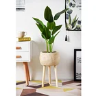 Plant Pot Most Popular Slap-up Family The Garden Plant Engineering Flower Nursery Production Wooden Pot