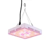 Factory Wholesale Full Spectrum led grow light for Indoor Plant Dimmable Waterproof Grow Light LED
