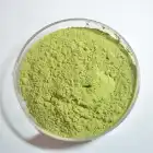 Moringa Powder Powdermoringa Supply Natural Moringa Powder Moringa Leaf Powder In Bulk With Best Price