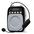 Rechargeable Portable Voice Amplifier for Teacher / Tourist Guide SD-S318