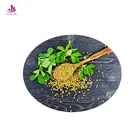 Health Care Product Herb Supplement Powder Form Fenugreek Seeds