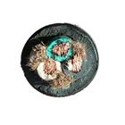 UL62 standard Epr Insulation and CPE Sheath 6awg 8awg Soow Sjoow Sjo Sj Sjw Sjow Sow Low Voltage Wire Cable