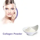 Low molecular weight bovine Fish hydrolyzed collagen powder