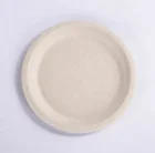 Biodegradable and compostable 10 inch Round Plate